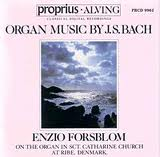 Enzio Forsblom - Bach