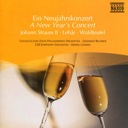 A New Year´s Concert