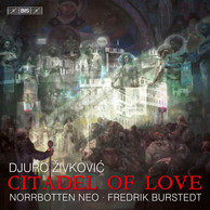 Djuro Živković - Citadel of Love