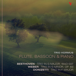 Beethoven, Weber & Donizetti: Trios For Flute, Bassoon & Piano