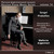 Russian Piano Music, Vol. 14: Sergei Prokofiev