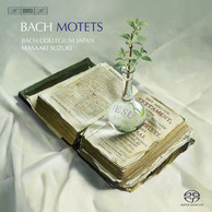 Bach - Motets