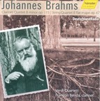 Johannes Brahms - String Quintet in B minor op. 115