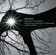 Ole Buck: Sinfonietta Works