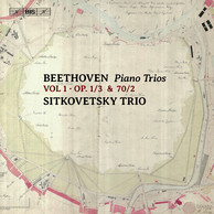 Beethoven - Piano Trios, Vol. 1