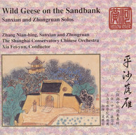 Wild Geese On the Sandbank: Sanxian and Ruan Solos