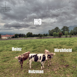 H3: Heinz, Holzman, Hirshfield