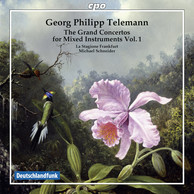 Telemann: Grand Concertos, Vol. 1