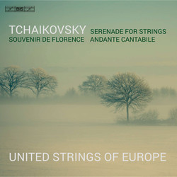 Tchaikovsky - Music for Strings