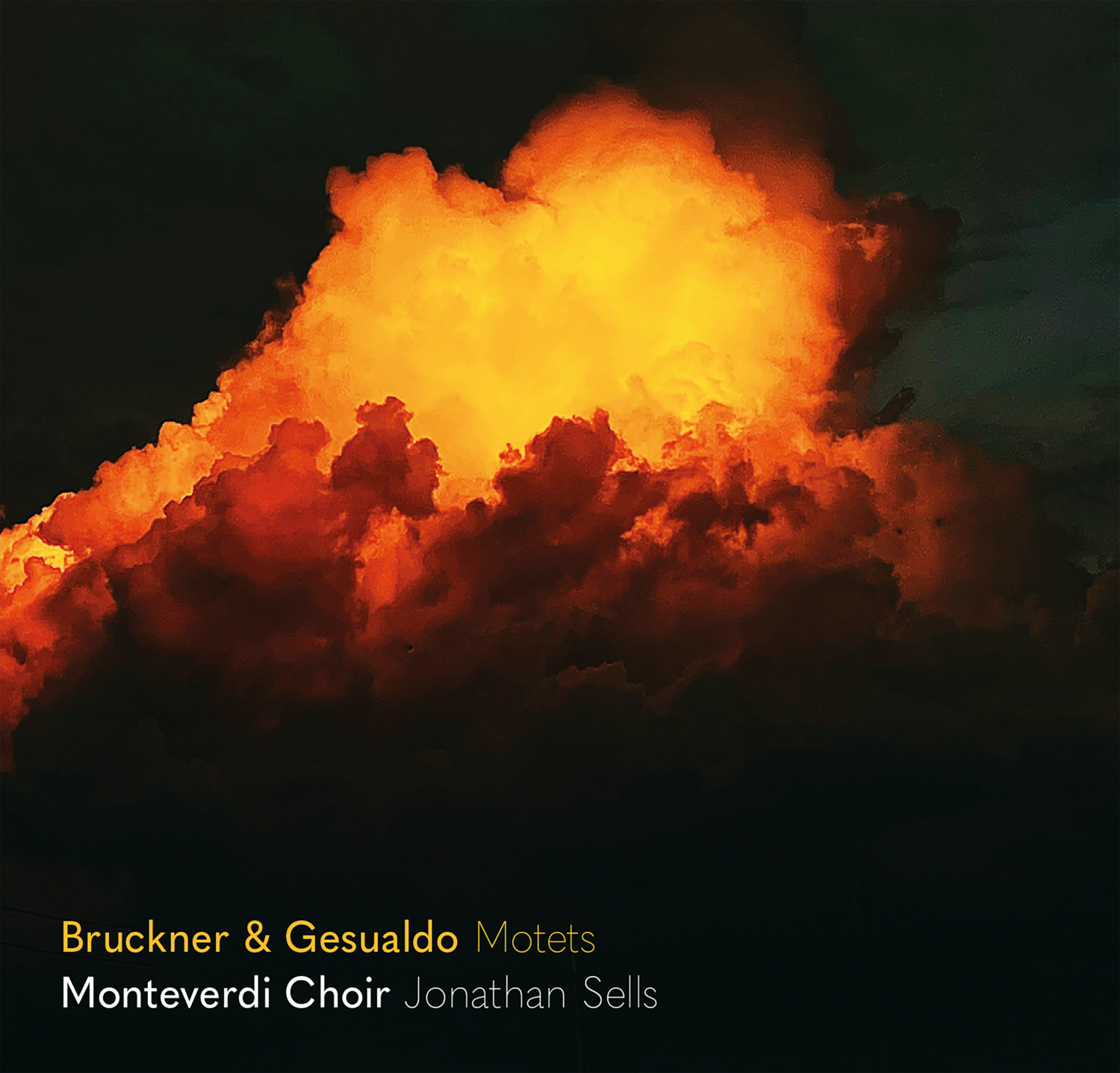 あなたにおすすめの商品 eClassical - Bruckner & Gesualdo: Echoing across the centuries タイムセール