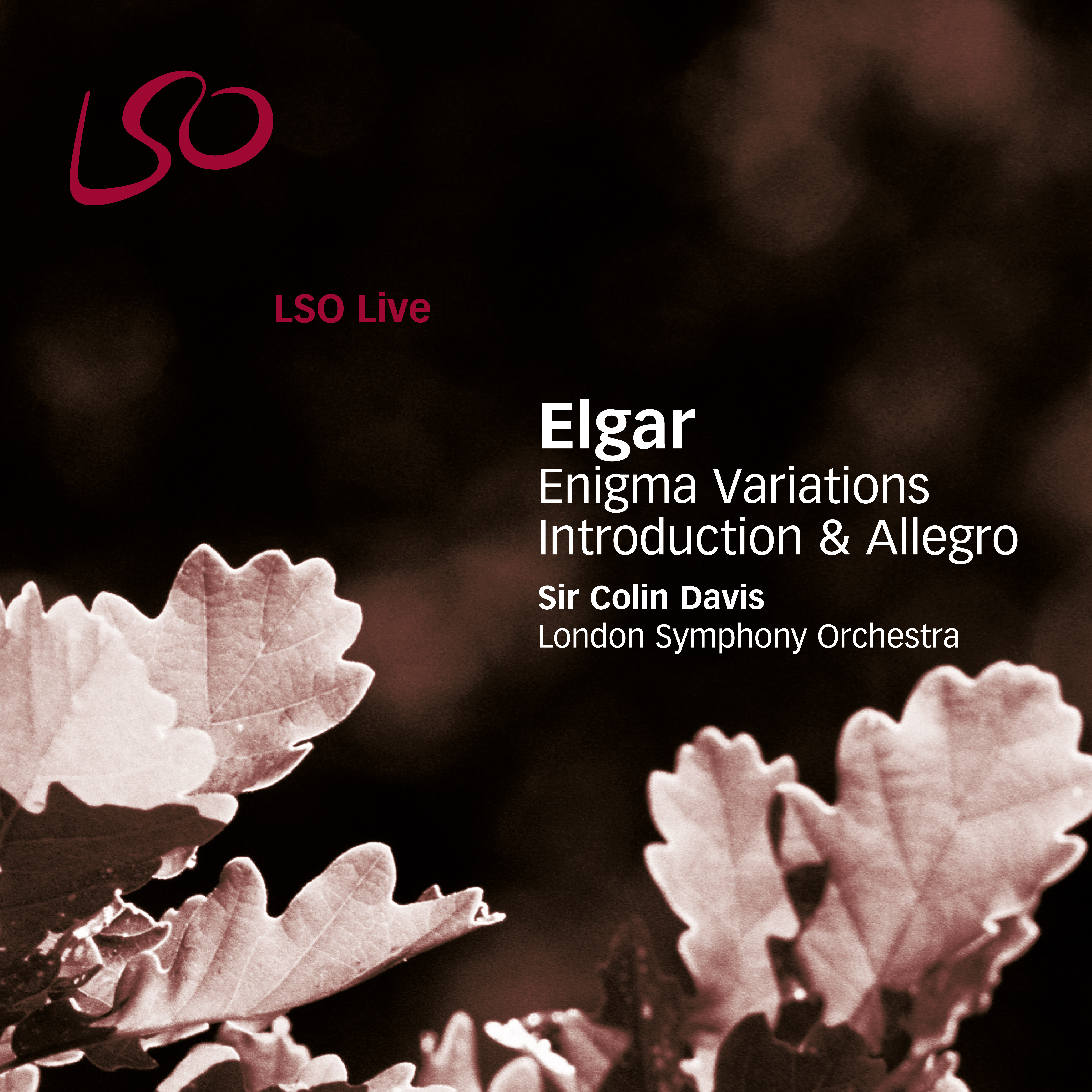 elgar enigma variations elgar enigma variations