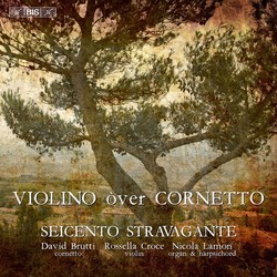 Violino òver cornetto