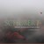 Schubert: Piano Sonatas, D. 959 & D. 537