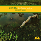 Brahms: The 2 String Sextets