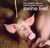 Pearls Before Swine Experience: Swine Live!