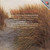 Pettersson: Concerto for Strings No. 1 / Symphony No. 12, 