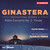 Ginastera: Piano Concerto No. 2, Op. 39: IV. Finale. Prestissimo