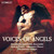 Voices of Angels - chamber works