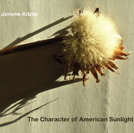 The Character of American Sunlight