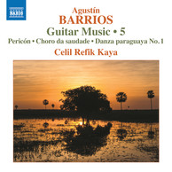 Barrios Mangoré: Guitar Music, Vol. 5