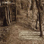 Voices of Nature - choir music by Schnittke and Pärt