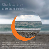 Bray: At the Speed of Stillness