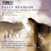 Beamish - The Imagined Sound of Sun on Stone