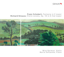 Schubert: Fantasy, D. 934 - Strauss: Violin Sonata, Op. 18