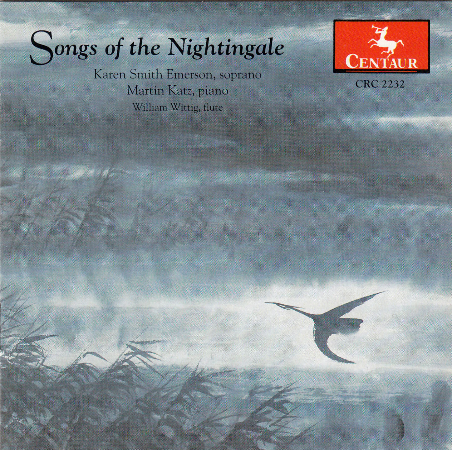 The Song of the Nightingale by Alys Clare