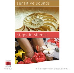In Harmony with Classical Music - Sensitive Sounds - Steps in Silence