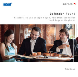 Found: Piano Trios by Haydn, Schneider & Klughardt