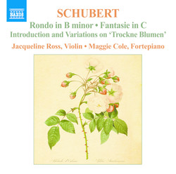 Schubert: Complete Works for Violin and Fortepiano, Vol. 2