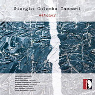 Giorgio Colombo Taccani: Watcher
