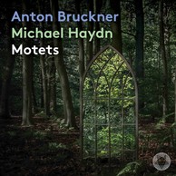 Anton Bruckner & Michael Haydn: Motets