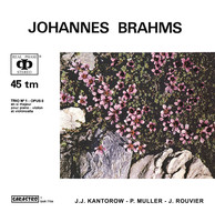 Johannes Brahms: Piano Trio No. 1 in B major, Op. 8 (revised version, 1889)
