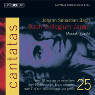 J.S. Bach - Cantatas, Vol.25 (BWV 78, 99 and 114)
