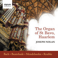 The Organ of St Bavo, Haarlem