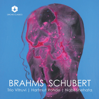 Trio Vitruvi play Brahms & Schubert