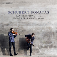 Schubert Sonatas on violin and guitar