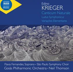 Krieger: Orchestral Works