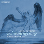 Liszt-Schubert: Schwanengesang