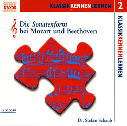 KLASSIK KENNEN LERNEN 2: Die Sonatenform bei Mozart und Beethoven (Dr. Stefan Schaub)