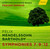 Mendelssohn: String Symphonies Nos. 7, 9 & 12