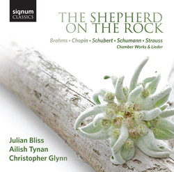 The Shepherd on the Rock