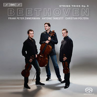 Ludwig van Beethoven: String Trios Op.9