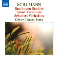 R. Schumann: Piano Variations
