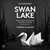 Tchaikovsky: Swan Lake, Op. 22, TH 12 (1877 Version)