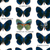 Schumann: Carnaval, Papillons