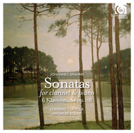 Brahms: Sonatas for clarinet and piano Op. 120
